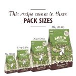 Lily's Kitchen Grain-Free Lamb Shepherd's Pie Dog Food