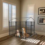 Heavy Duty Outdoor Dog Kennel with Canopy Cover