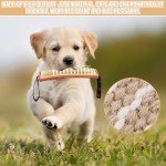 Durable Tug Toy Set for Medium to Large Dogs