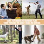 Durable Tug Toy Set for Medium to Large Dogs