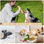 Durable Tug Toy Set for Medium to Large Dogs