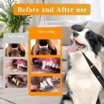 HomeFunk Dog Tooth Cleaning and Plaque Remover