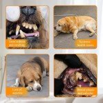 HomeFunk Dog Tooth Cleaning and Plaque Remover