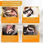 HomeFunk Dog Tooth Cleaning and Plaque Remover