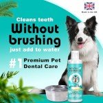 Dental Water Additive for Dogs and Cats
