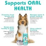 Dental Water Additive for Dogs and Cats