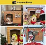 Weatherproof Insulated Dog House for Small Dogs