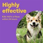Bob Martin Flea Treatment for Small Dogs & Puppies