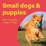 Bob Martin Flea Treatment for Small Dogs & Puppies