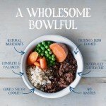 Butcher's Grain Free Wet Dog Food Cans 9.6kg