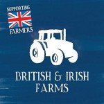 Butcher's Grain Free Wet Dog Food Cans 9.6kg