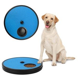 3-in-1 Dog Nail Grinding Pad & Fun Mat