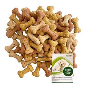 Delicious Dog Biscuit Bulk Bundle with Care Booklet