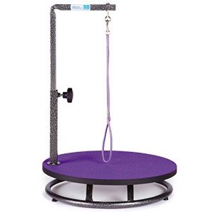 Purple Pet Grooming Table for Dogs