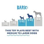 Barkbox Durable Squeak Toys for Chewers