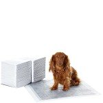 Amazon Basics Leakproof Odour-Control Dog Training Pads