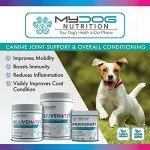 Organic Joint Health Supplements for Dogs - 188g