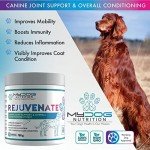 Organic Joint Health Supplements for Dogs - 188g