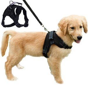 Breathable No-Pull Dog Harness Vest (S, Black)