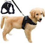 Breathable No-Pull Dog Harness Vest (S, Black)