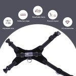 Breathable No-Pull Dog Harness Vest (S, Black)