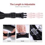 Breathable No-Pull Dog Harness Vest (S, Black)