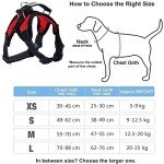Breathable No-Pull Dog Harness Vest (S, Black)