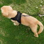 Breathable No-Pull Dog Harness Vest (S, Black)