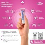 Stomodine F Toothpaste for Dogs & Cats - Meat Flavor