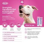 Stomodine F Toothpaste for Dogs & Cats - Meat Flavor
