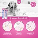 Stomodine F Toothpaste for Dogs & Cats - Meat Flavor