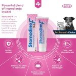 Stomodine F Toothpaste for Dogs & Cats - Meat Flavor