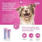 Stomodine F Toothpaste for Dogs & Cats - Meat Flavor