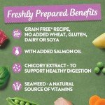 Harringtons Grain Free Dog Food Wet Tray Pack