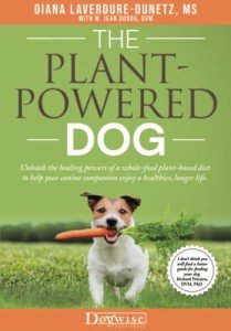Plant-Based Diet for a Healthier Dog Life