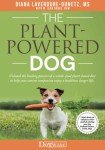Plant-Based Diet for a Healthier Dog Life