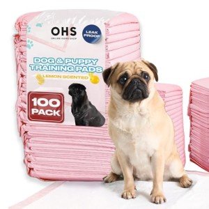 Leakproof Lemon Scented Puppy Training Pads - 100 Pack