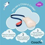 Fun Crinkle Dog Toy for Play and Training