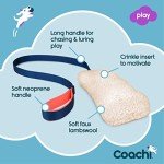 Fun Crinkle Dog Toy for Play and Training