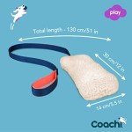 Fun Crinkle Dog Toy for Play and Training