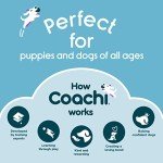 Fun Crinkle Dog Toy for Play and Training