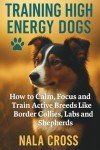 Training High-Energy Dogs: Tips for Active Breeds