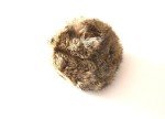 Realistic Rabbit Fur Tennis Balls for Dogs