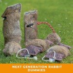 Realistic Rabbit Fur Tennis Balls for Dogs