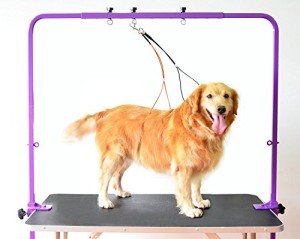 Overhead Dog Grooming Arm with Clamps - Purple