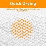 ZENO Super Absorbent Puppy Training Pads 50PCS