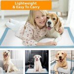 ZENO Super Absorbent Puppy Training Pads 50PCS