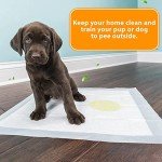ZENO Super Absorbent Puppy Training Pads 50PCS