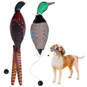 Duck and Pheasant Training Dummies for Dogs