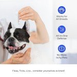 Dog Flea & Tick Treatment - 2 Pack Spot-On
